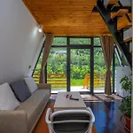 Arditi's Chalet